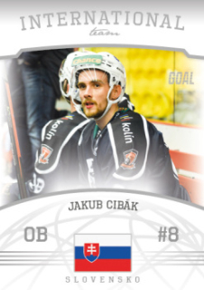 Jakub Cibak Kolin Chance liga 2022/23 2. serie GOAL Cards International Team #7